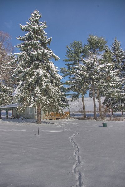 2007-12-06_17-34-08.jpg
