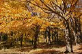 2004-10-12_10-40-36