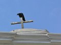 2005-03-20_03-28-17