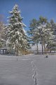 2007-12-06_17-34-08