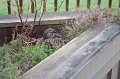 2010-04-14_05-47-22